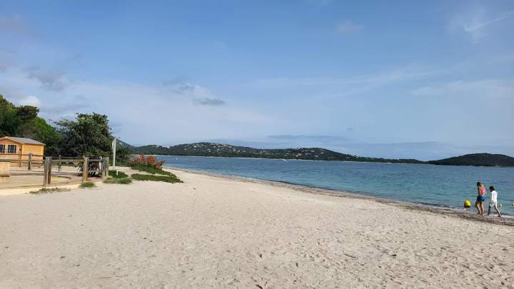 Transfert portuaire Sotta